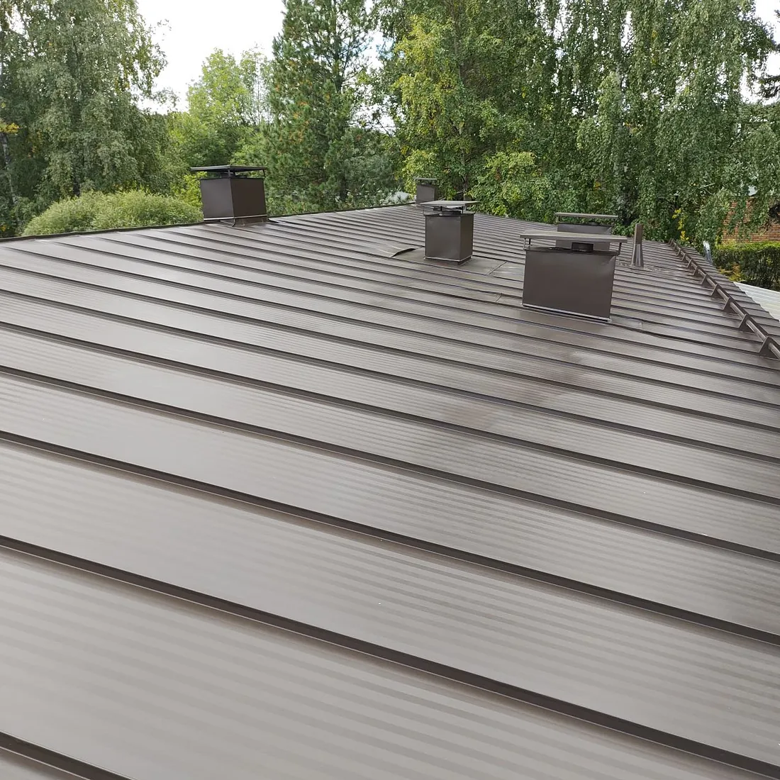 peltikaton maalaus Kajavi