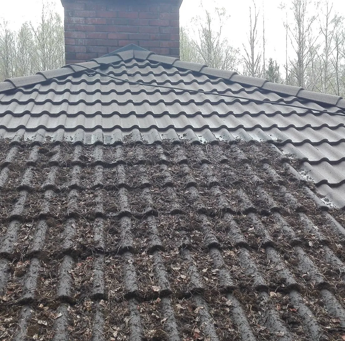 maalattava kattotyöt