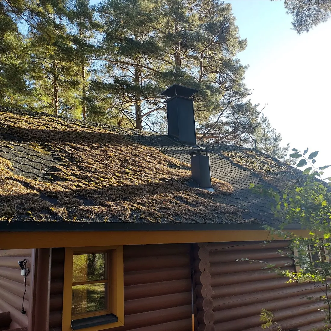 maalattava kattotyöt